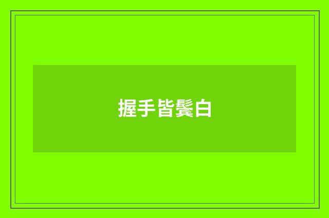 握手皆鬓白