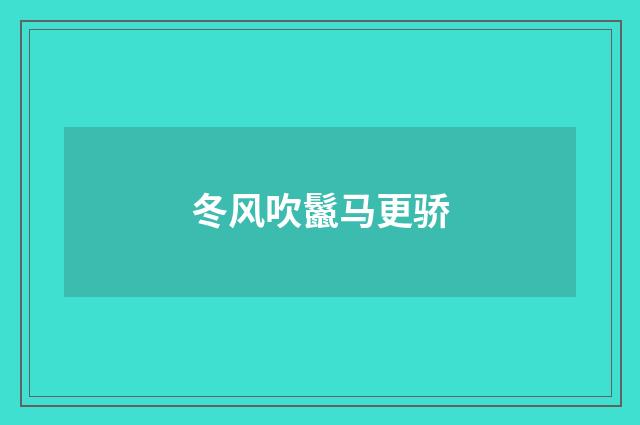 冬风吹鬣马更骄