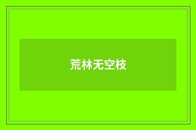荒林无空枝