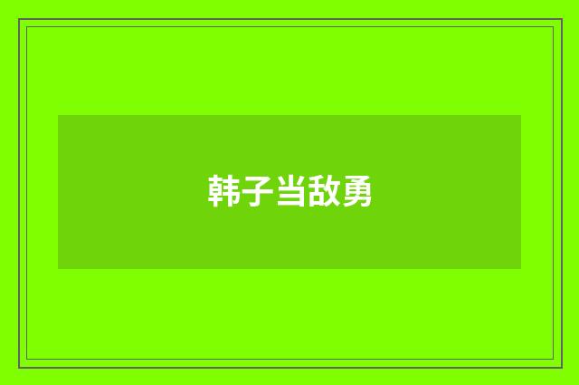 韩子当敌勇