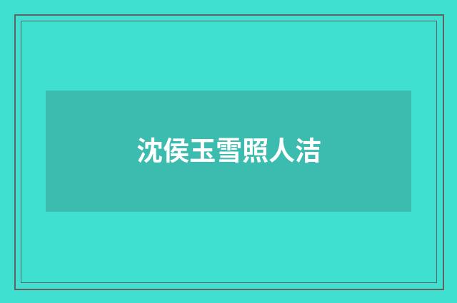 沈侯玉雪照人洁