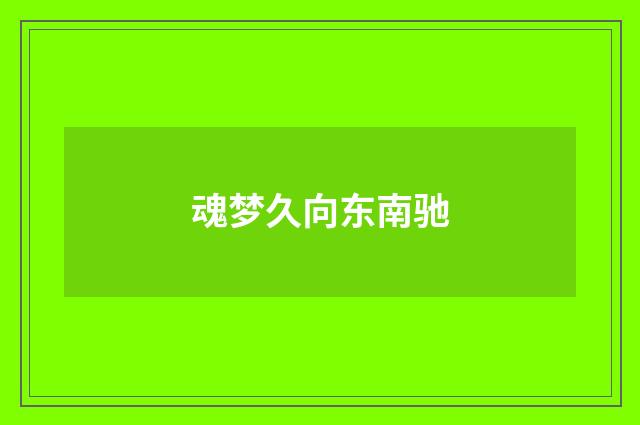 魂梦久向东南驰