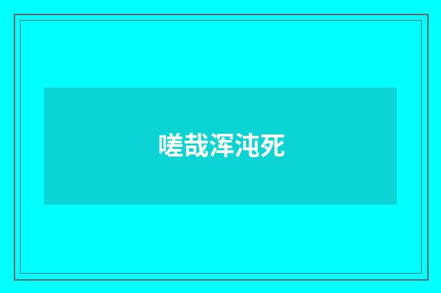 嗟哉浑沌死