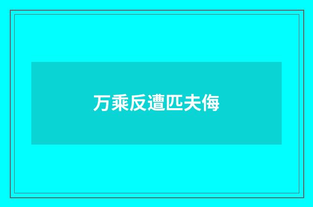 万乘反遭匹夫侮