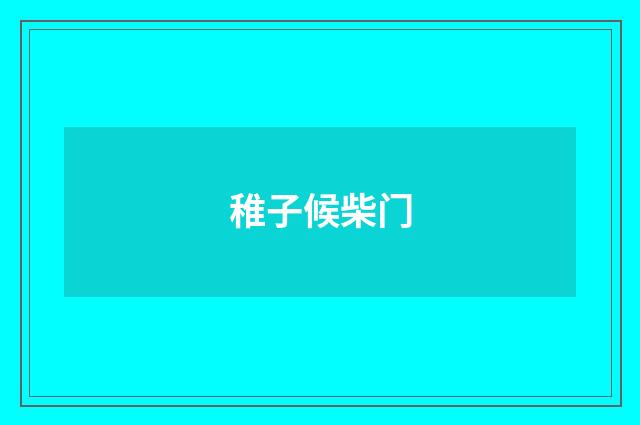 稚子候柴门