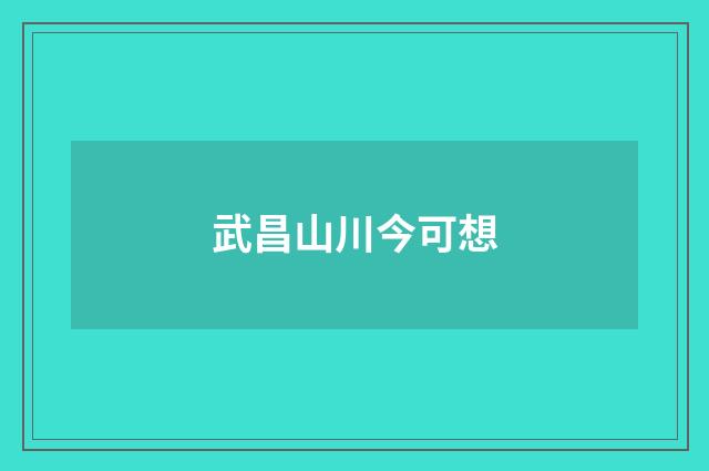 武昌山川今可想