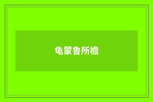 龟蒙鲁所檐