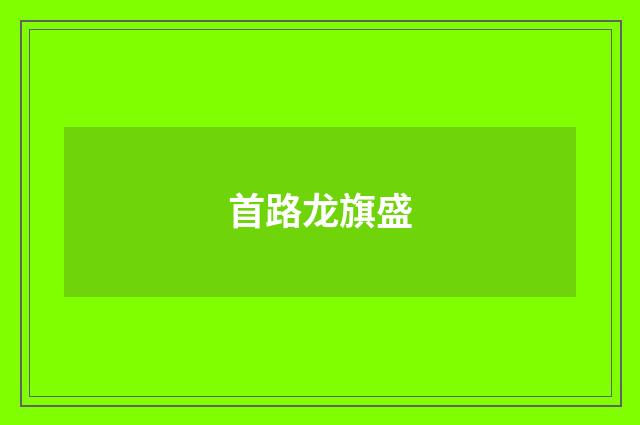 首路龙旗盛