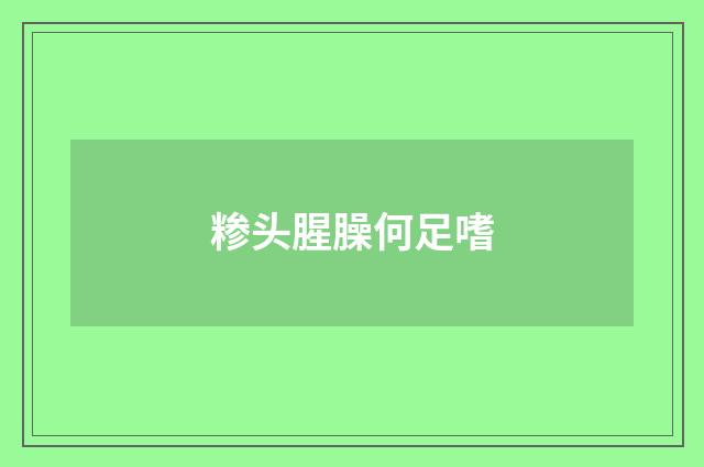 糁头腥臊何足嗜