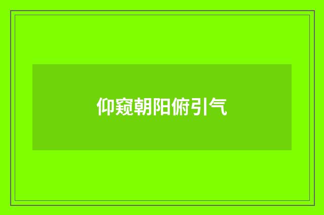 仰窥朝阳俯引气