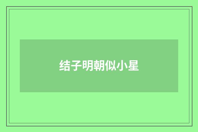 结子明朝似小星