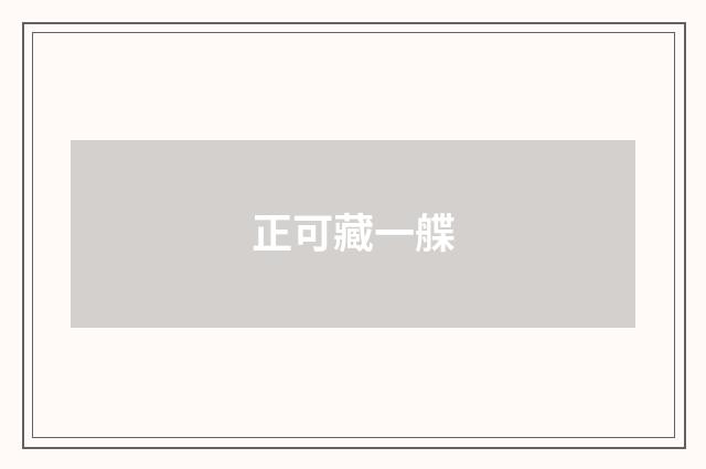 正可藏一艓