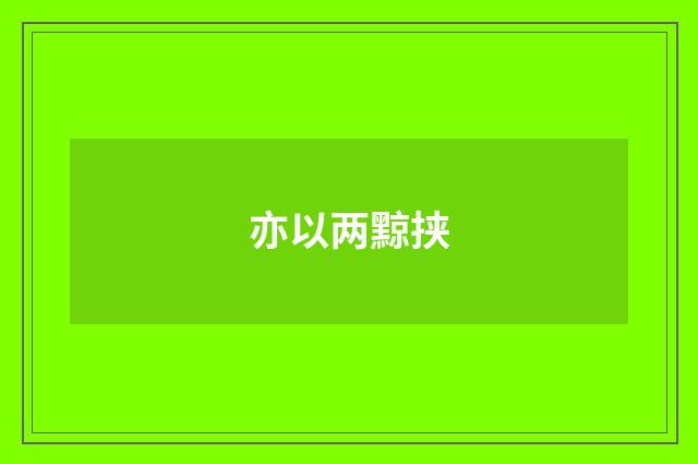 亦以两黥挟