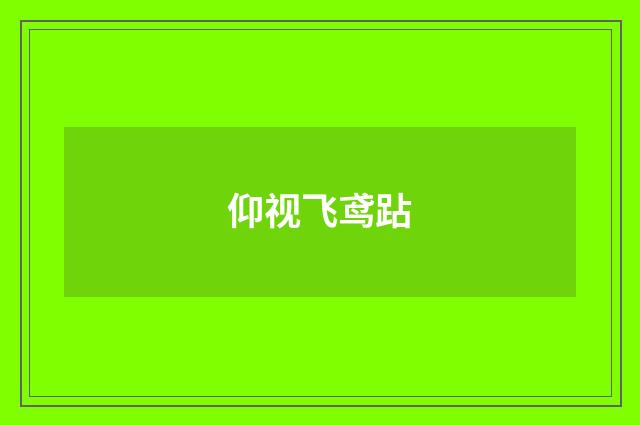 仰视飞鸢跕