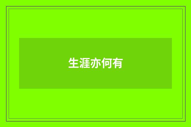 生涯亦何有
