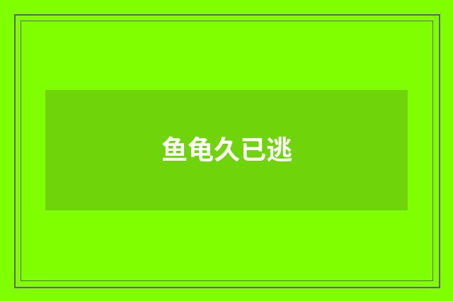 鱼龟久已逃