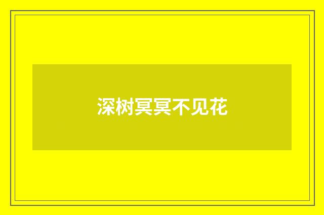 深树冥冥不见花