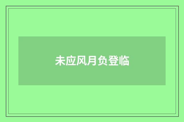 未应风月负登临