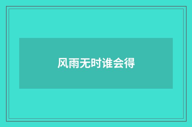风雨无时谁会得