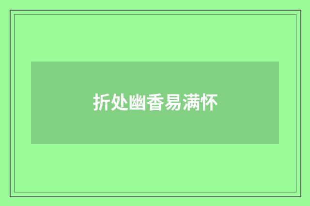 折处幽香易满怀