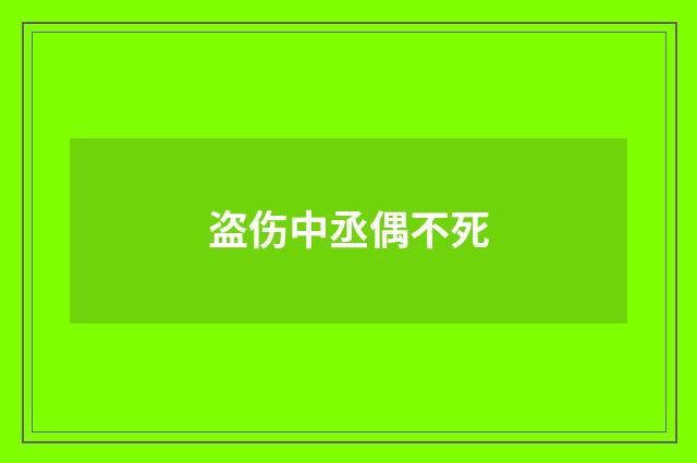 盗伤中丞偶不死