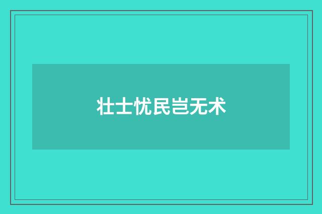 壮士忧民岂无术