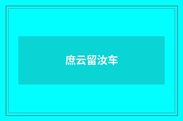 庶云留汝车