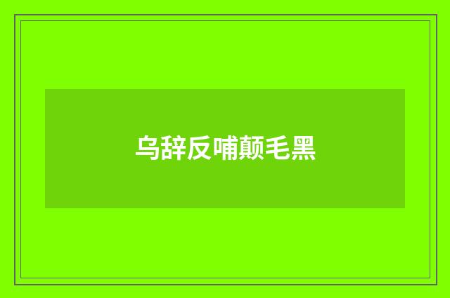乌辞反哺颠毛黑