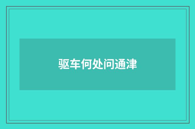 驱车何处问通津