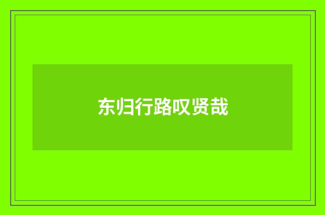 东归行路叹贤哉