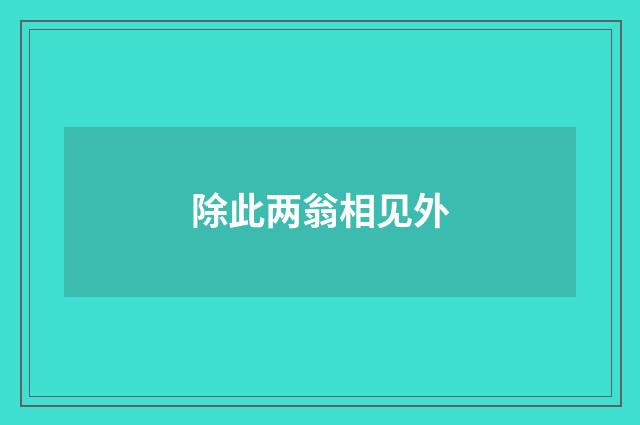 除此两翁相见外