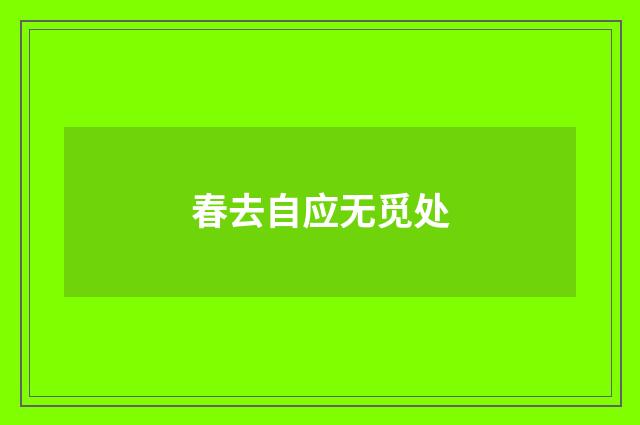 春去自应无觅处