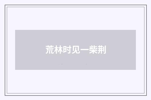 荒林时见一柴荆