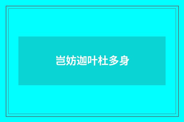岂妨迦叶杜多身
