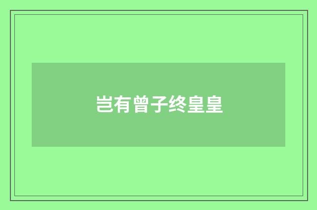 岂有曾子终皇皇