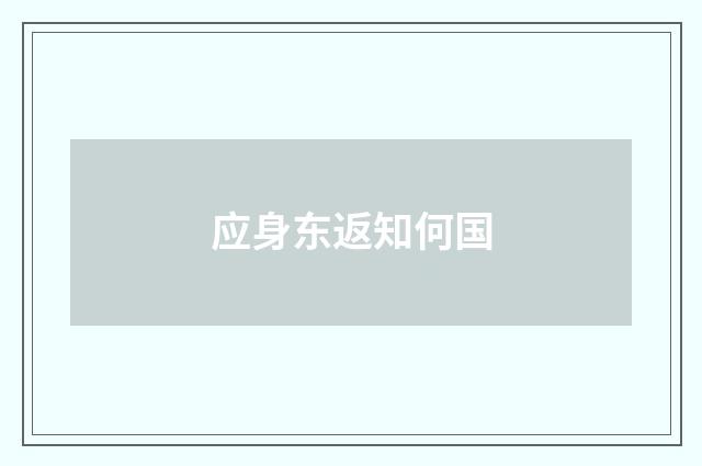 应身东返知何国