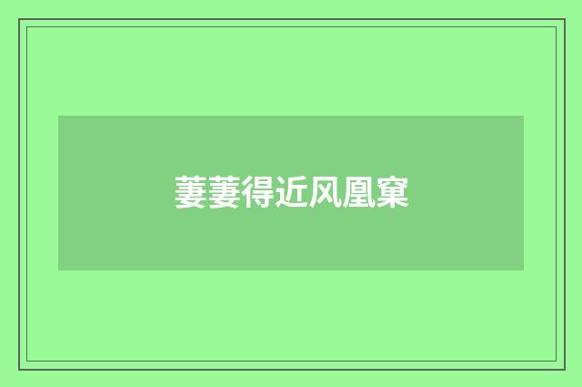 萋萋得近风凰窠
