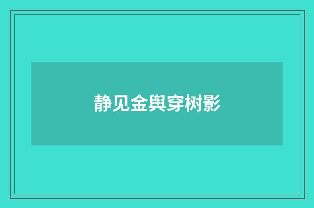 静见金舆穿树影