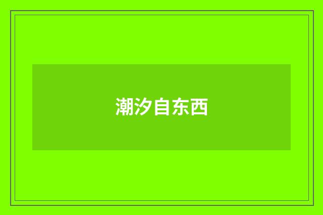 潮汐自东西