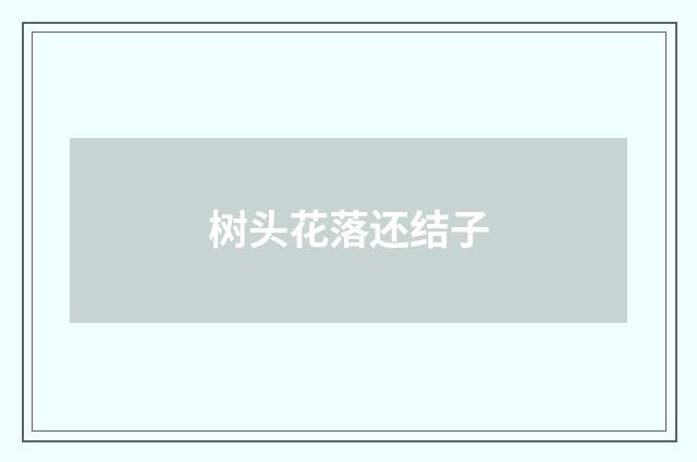 树头花落还结子