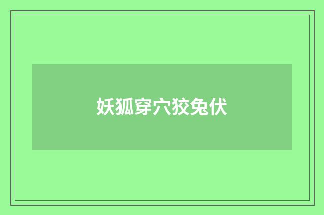 妖狐穿穴狡兔伏