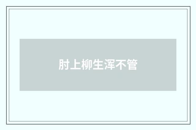 肘上柳生浑不管