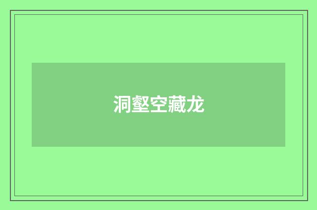 洞壑空藏龙