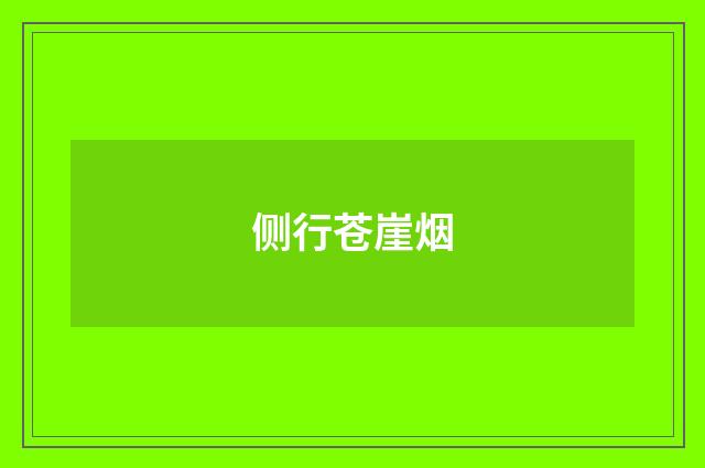 侧行苍崖烟