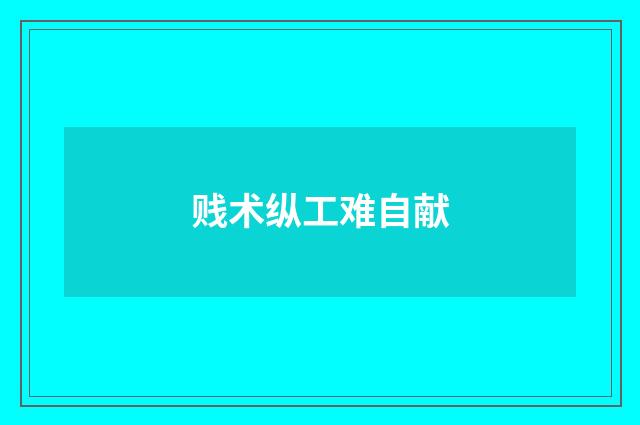 贱术纵工难自献