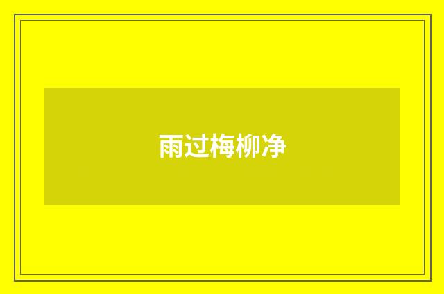 雨过梅柳净