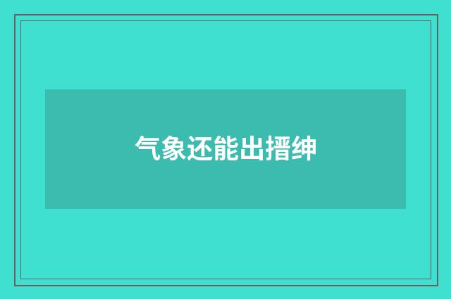 气象还能出搢绅