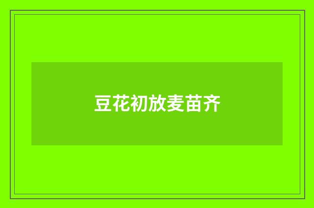 豆花初放麦苗齐