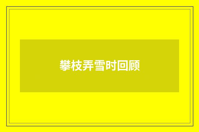 攀枝弄雪时回顾