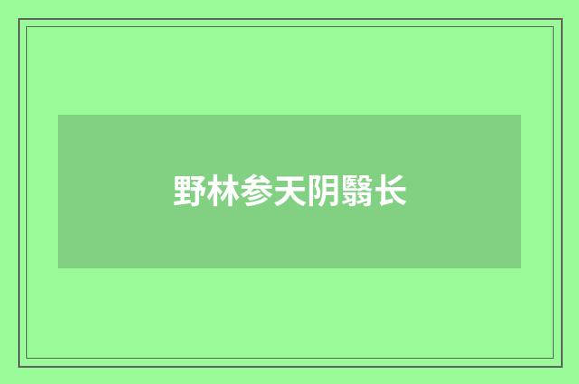 野林参天阴翳长